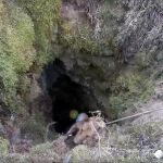 Imagen del momento del rescate de los perros
