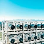 Una de las plantas que toma directamente el carbono del aire y que puede después ayudar a transformarlo en materia