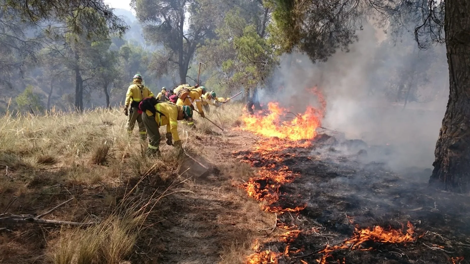 Miembros de la Brigada de Refuerzo de Incendios Forestales de la Comunidad Andaluza (Brica) combatiendo el fuego / Foto: La Razón