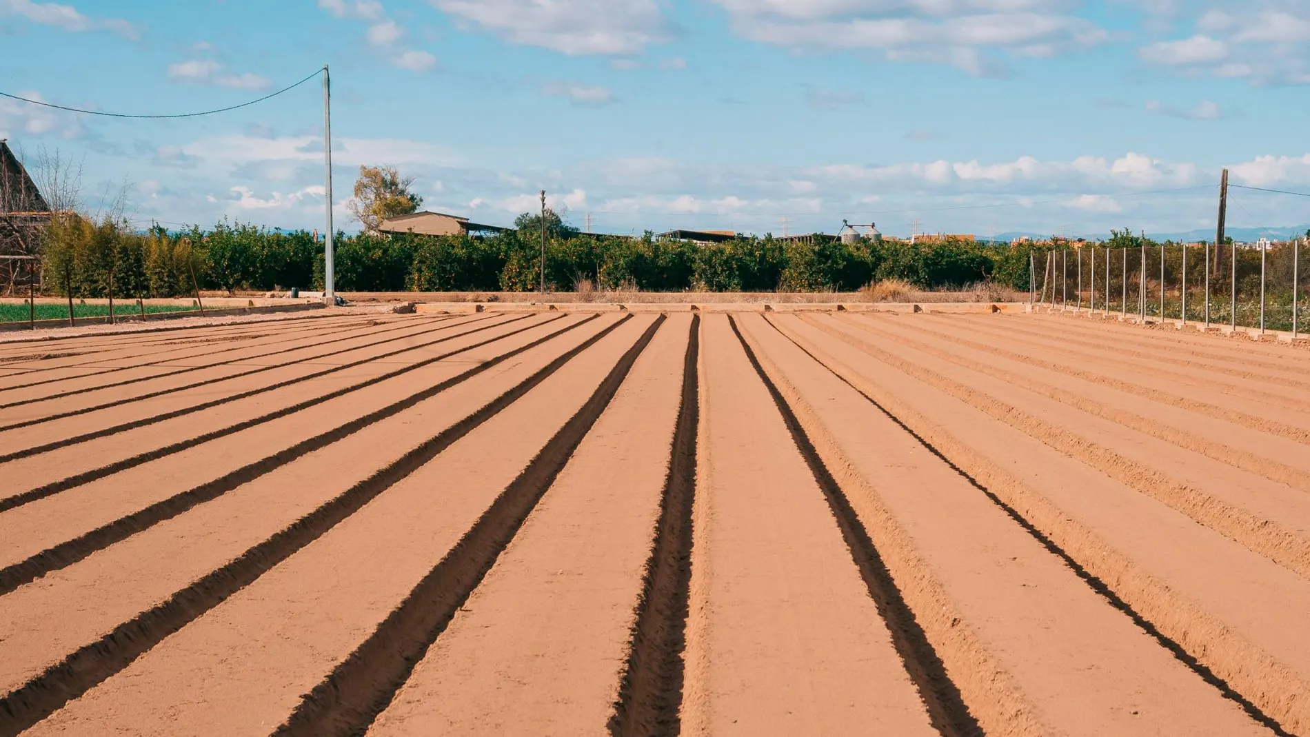 El cambio climático ya no es un problema a resolver en el futuro, sino que ya está aquí, y ha venido para quedarse. Este fenómeno afecta a todo el planeta, pero posiblemente la vegetación sea una de las partes del mismo más sensible a las modificaciones en nuestro clima