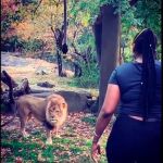 Mujer en jaula de leones en zoológico del Bronx