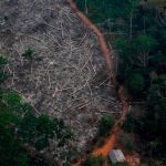 El Amazonas también existe