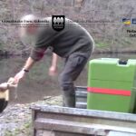 Dos agentes de la Guardia Civil devolviendo angulas al río