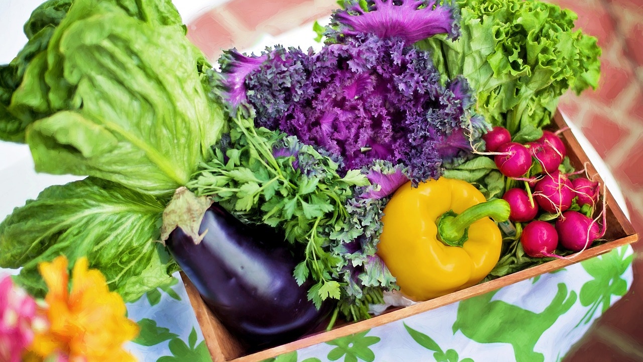 Hacia una alimentación más sostenibles y resilientes