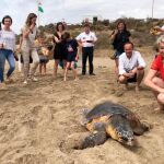 El consejero de Empleo, Universidades, Empresa y Medio Ambiente en funciones, Javier Celdrán, durante la liberación en Águilas de un ejemplar de tortuga boba tratada en el Centro de Recuperación de Fauna Silvestre de El Valle