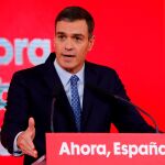El secretario general del PSOE y presidente del Gobierno en funciones, Pedro Sánchez