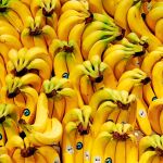 El plátano puede extinguirse... por segunda vez