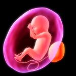 España es un destino de turismo de fertilidad por la calidad asistencial, el precio y una regulación más laxa