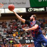 Mirotic
