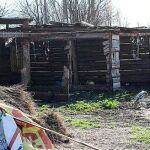 Dasha, la niña de 11 años que ladra, aúlla, camina a cuatro patas y vive encerrada con ganado