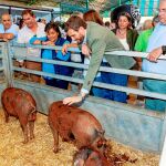 El presidente del PP, Pablo Casado, ayer en la Feria Ganadera de Zafra (Badajoz). Foto: Efe
