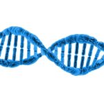 La epigenética: conocerla puede hacerte prevenir enfermedades