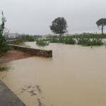 El río Segura se desborda a la altura de la pedanía murciana de Alquerías