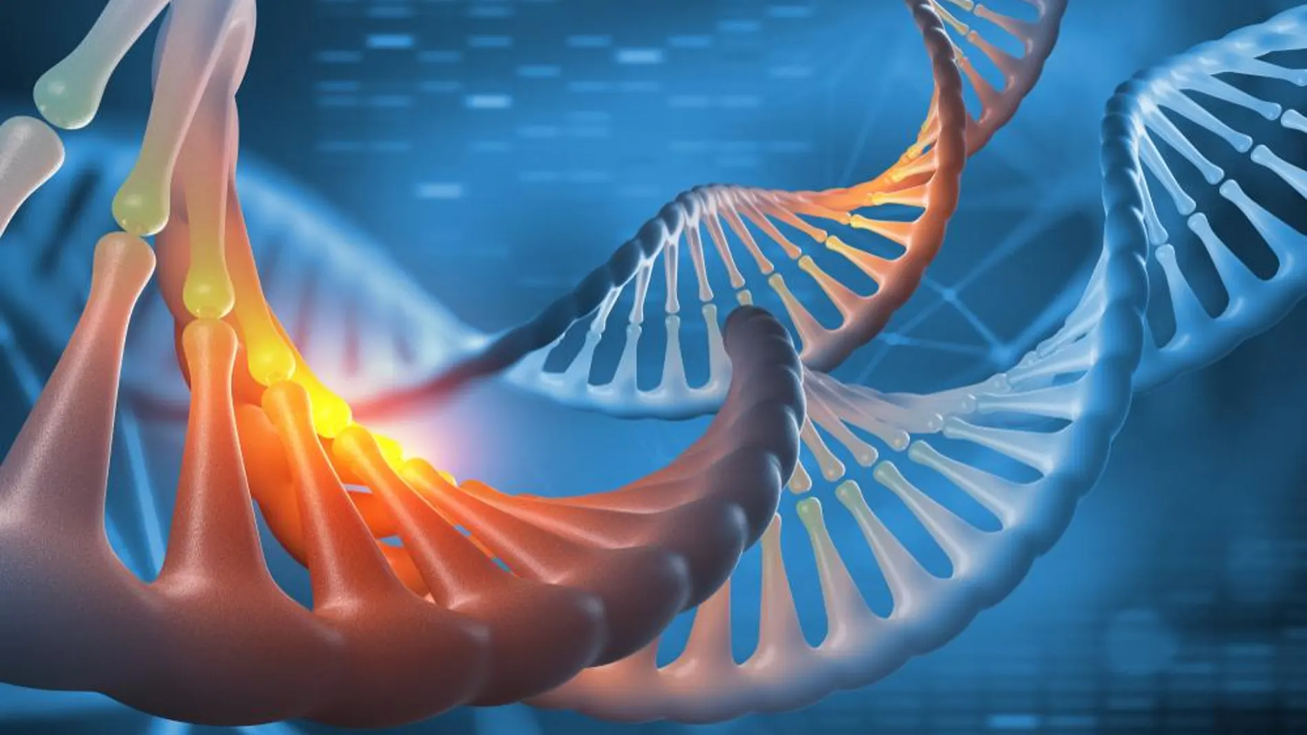 Cómo vivir más y mejor: cuestión de genes