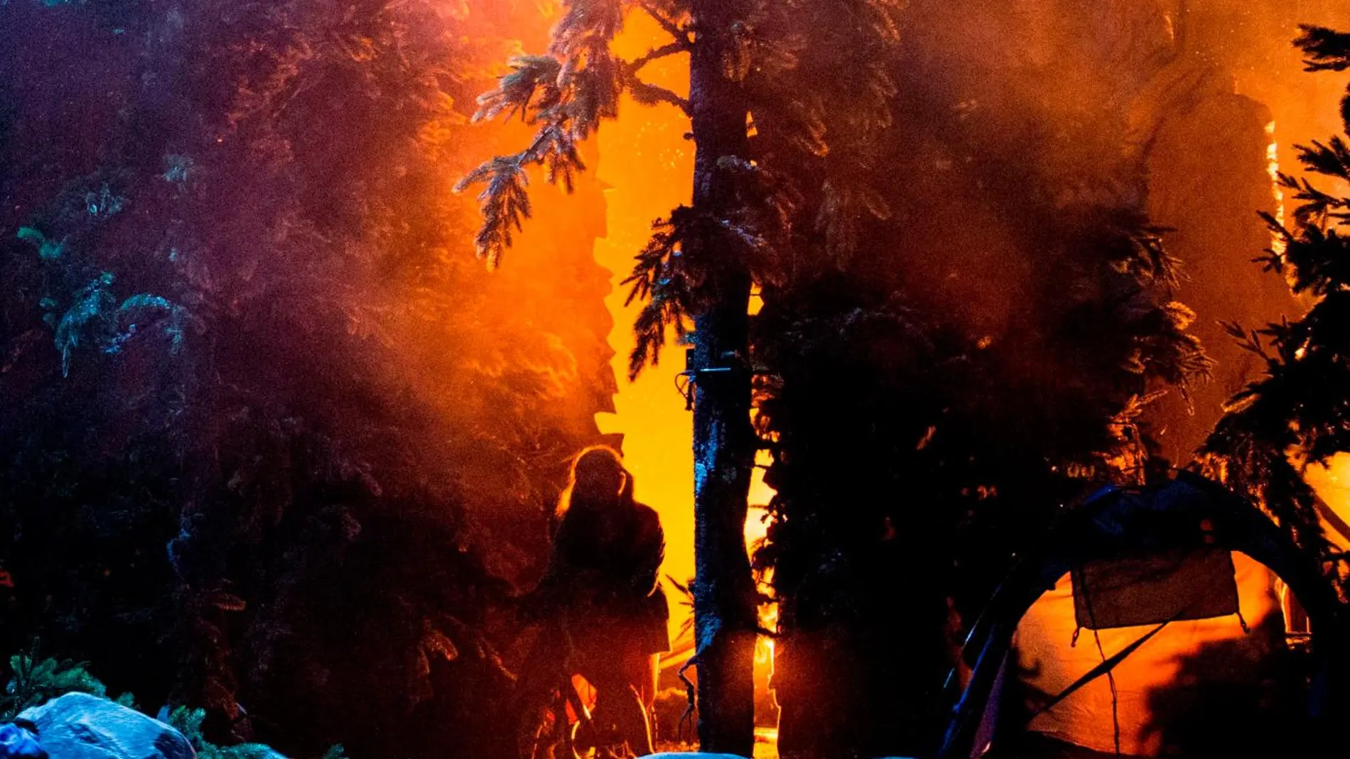 Peeping Tom serán una de las pocas compañías extranjeras que sí podrán mostrar su nuevo espectáculo en el Grec