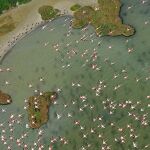 Parque Nacional de Doñana / EP