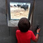 Corrales del Gas /Patricia Navarro