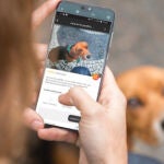 Welppy, la app que te alerta de los imprevistos