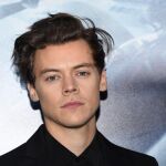 Harry Styles, en una imagen de archivo/Foto: Gtres