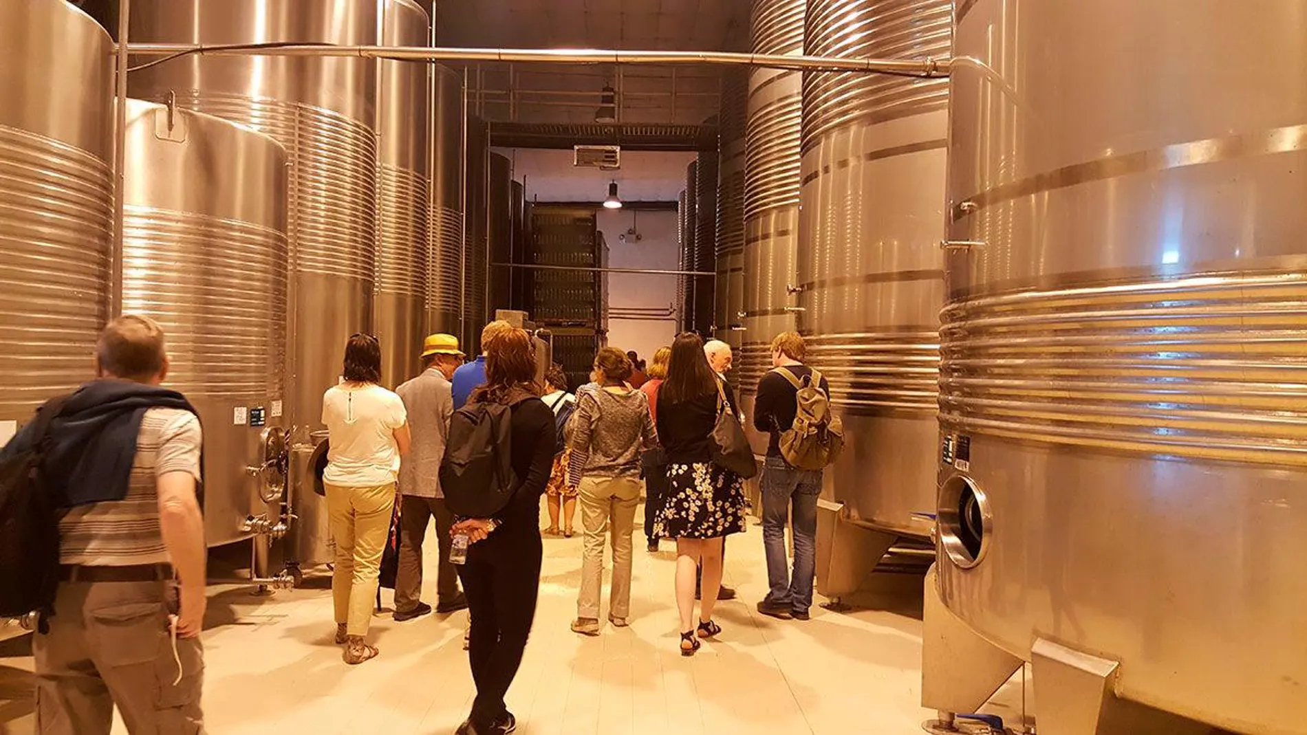 El enoturismo está consiguiendo atraer a decenas de miles de turistas a Castilla y León cada año