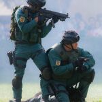Los efectivos del GAR han tenido un trabajo muy destacado en la lucha contra el terrorismo de ETA