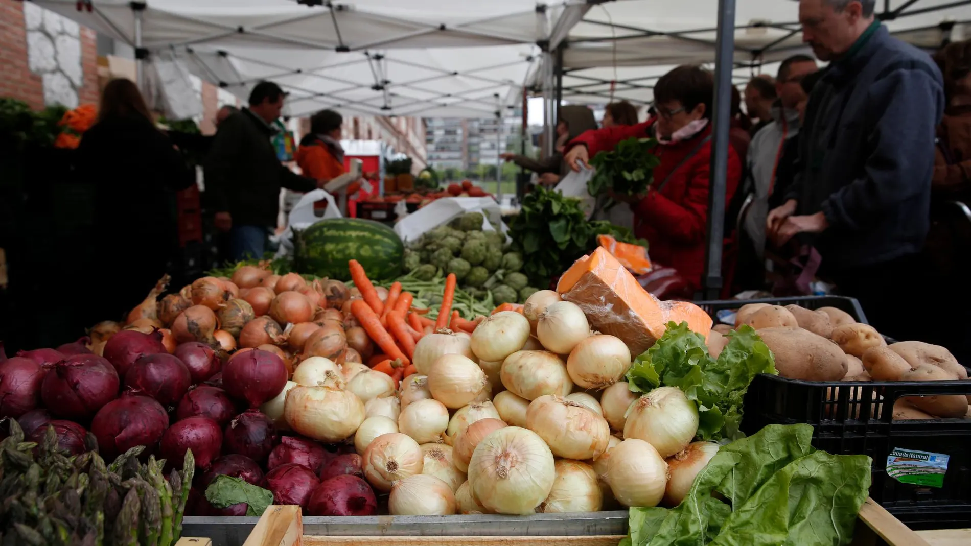 Las comunidades en las que sube el número de autónomos son las de la costa mediterránea y las islas (a excepción de Cataluña)