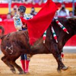 José Tomás, por estatuarios