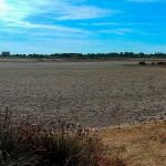 Doñana es un mosaico de ecosistemas que albergan una biodiversidad única en Europa, en el que destaca la marisma, en algún caso bastante seca en algunas épocas