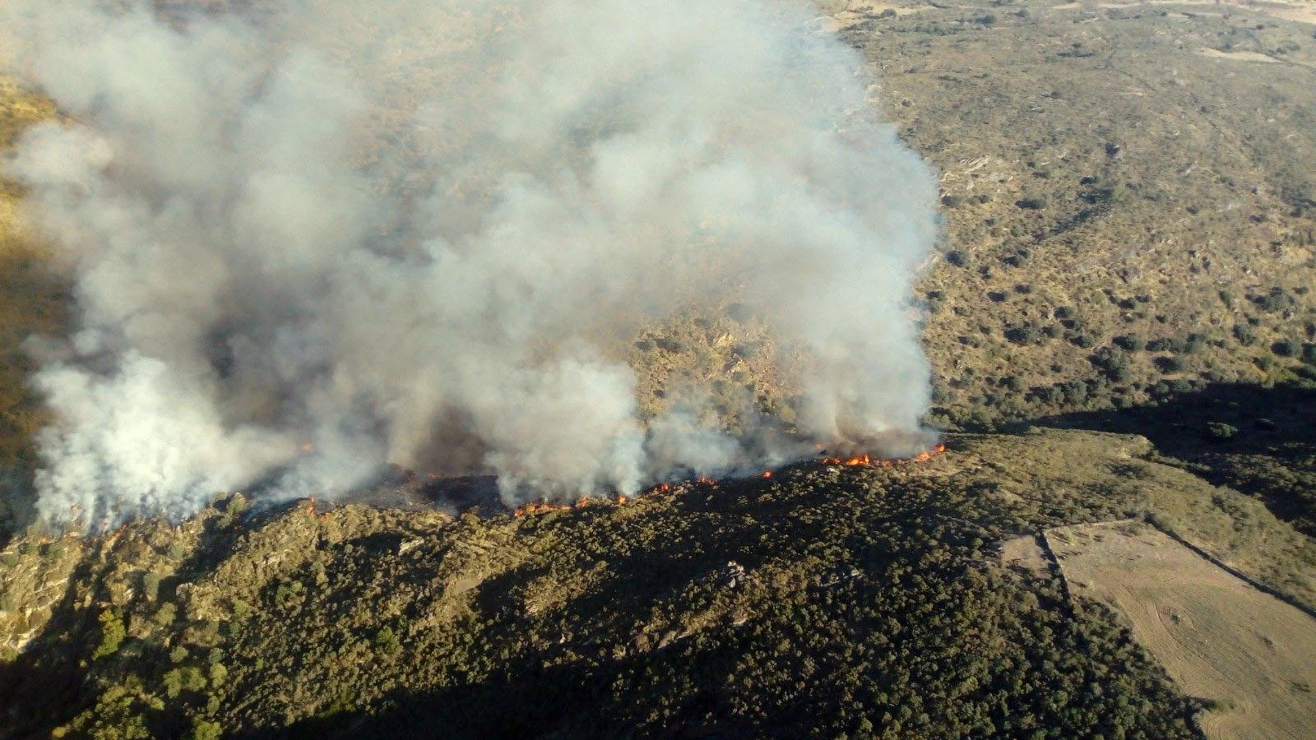 Situación de las llamas