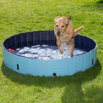 Piscinas para perros, mordedores, juguetes para mascotas, casetas... una selección de las ofertas de verano