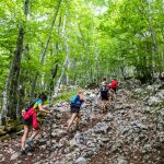 Bosques del Goierri