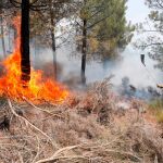 Efectivos del operativo contra el fuego se emplean a fondo para sofocar las llamas en el incendio de Gavilanes