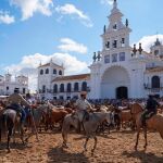 Los ganaderos almonteños en la Saca de Yeguas, una tradición de más de 500 años / EFE