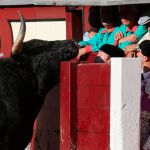 Las Ventas anuncia dos desafíos y un concurso ganadero para septiembre