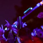 La fiesta comenzó para celebrar la Nochevieja