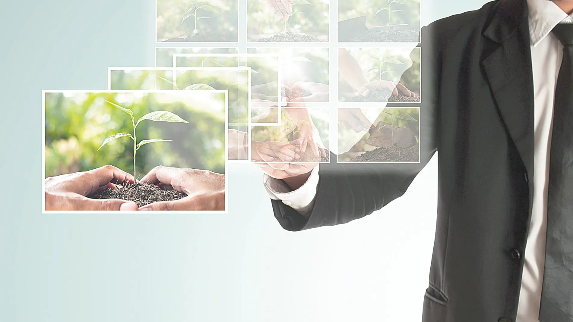 El 97% de las empresas del Ibex 35 tienen presente los ODS en sus estrategias