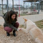 Andrea Levy en una protectora de animales
