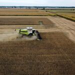Una cosechadora trabaja en un campo