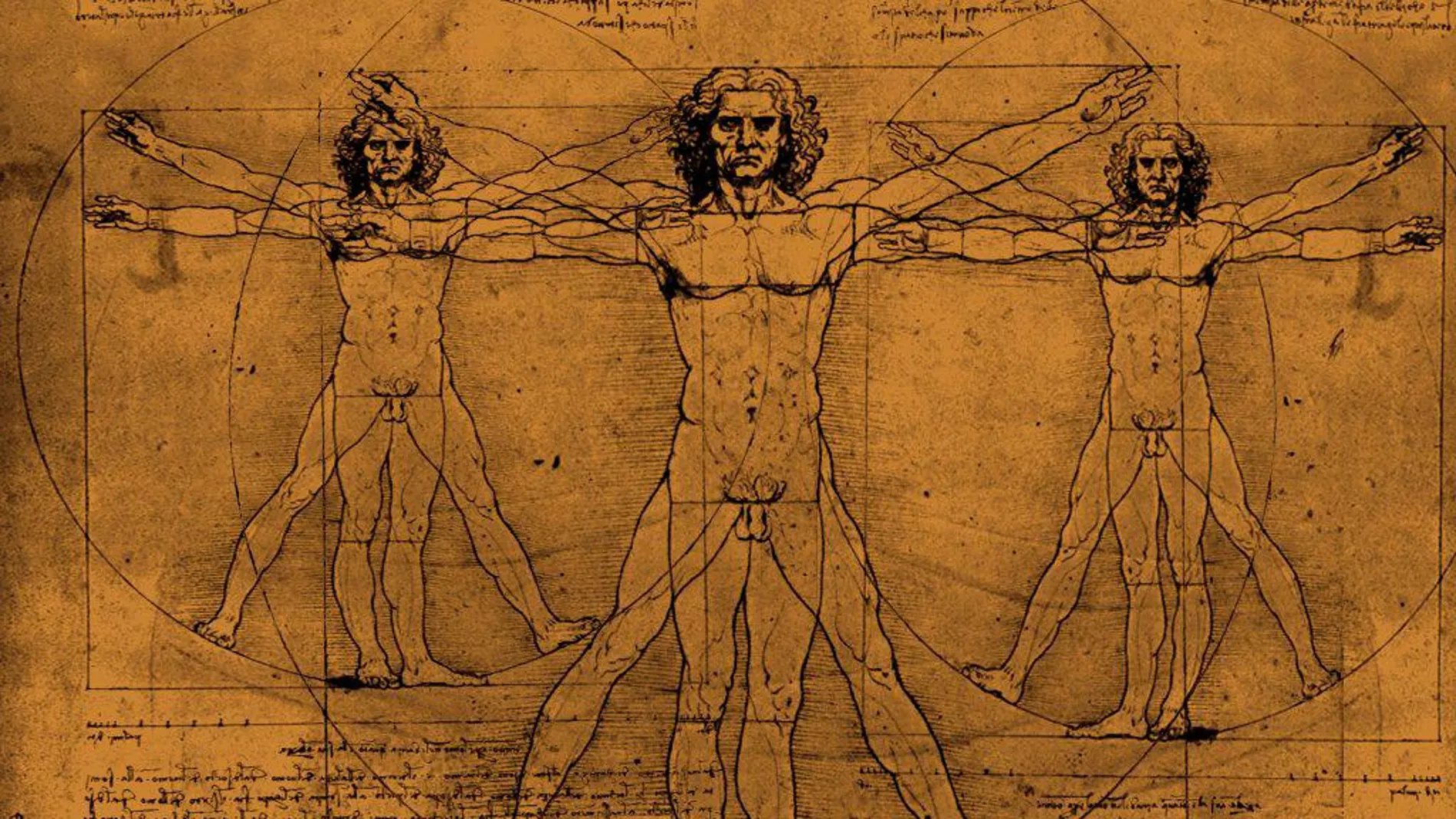 El hombre no es una «máquina imperfecta»