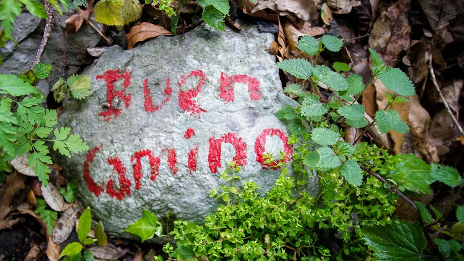 Los caminos a Santiago por Asturias