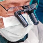 La cepa Akkermansia retardó la progresión de la patología en ratones y prolongó su supervivencia
