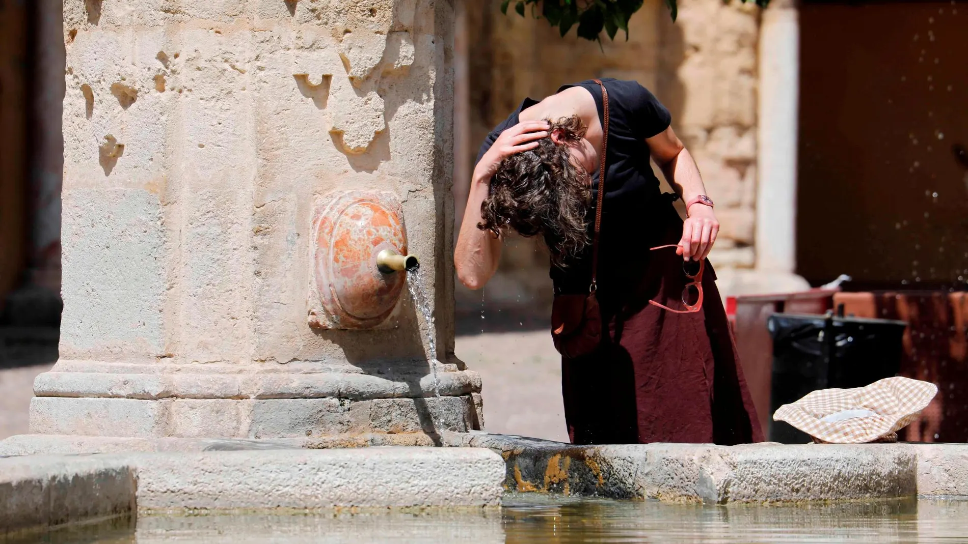 Las medidas para minimizar el impacto de la ola de calor fueron la única herramienta para evitar sus estragos