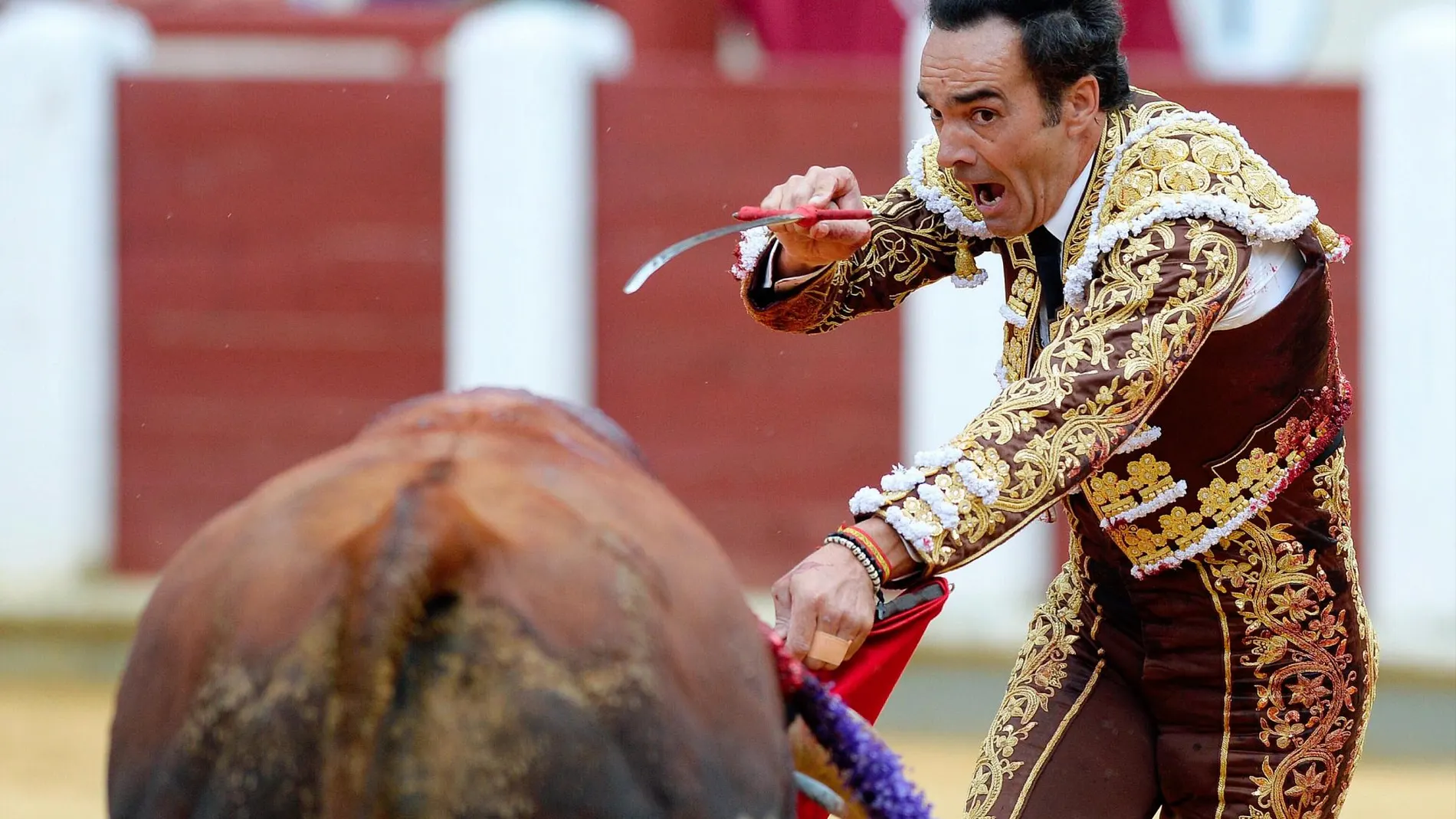 El Cid: «Tengo dos Puertas Grandes en Las Ventas por la espada, podrían ser ocho»