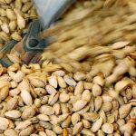 Los precios de este producto continúan al alza este año, tendencia que se observa desde hace varios meses