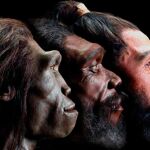 La evolución humana será tratada en la última de las conferencias del ciclo