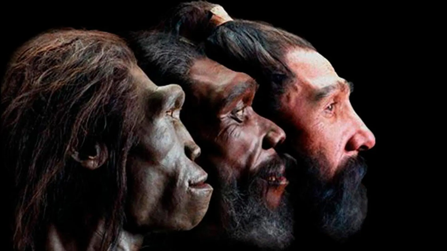 La evolución humana será tratada en la última de las conferencias del ciclo