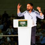 El presidente de Vox, Santiago Abascal / Efe
