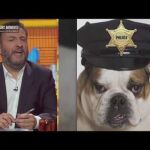Captura de pantalla del programa