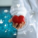 El médico tiene una imagen 3D del corazón del paciente