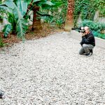 Foto: Miquel González/Shooting